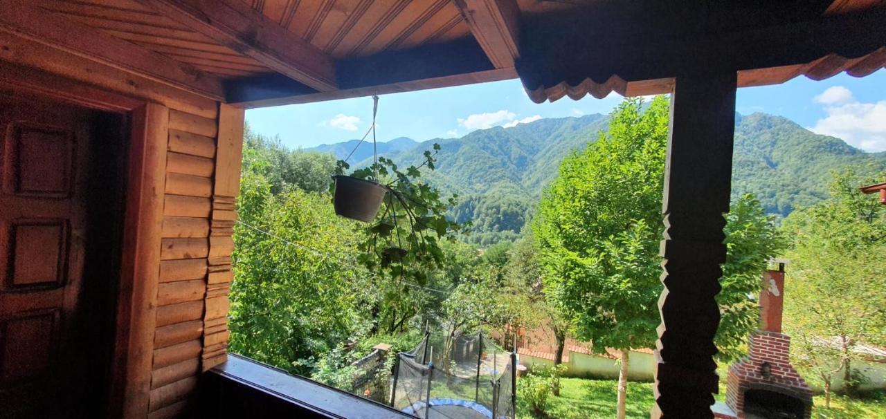 Casa Colt De Rai Villa Brezoi Luaran gambar