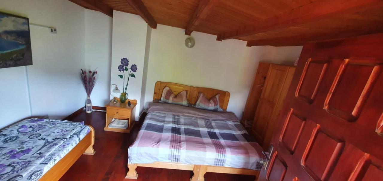 Casa Colt De Rai Villa Brezoi Luaran gambar