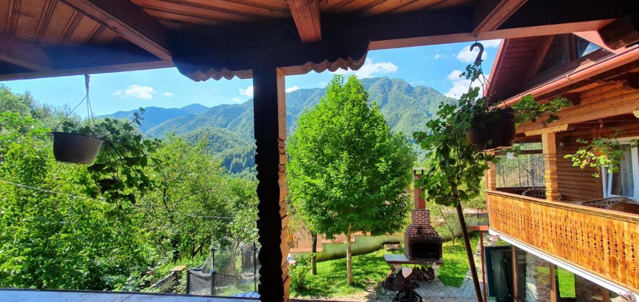 Casa Colt De Rai Villa Brezoi Luaran gambar