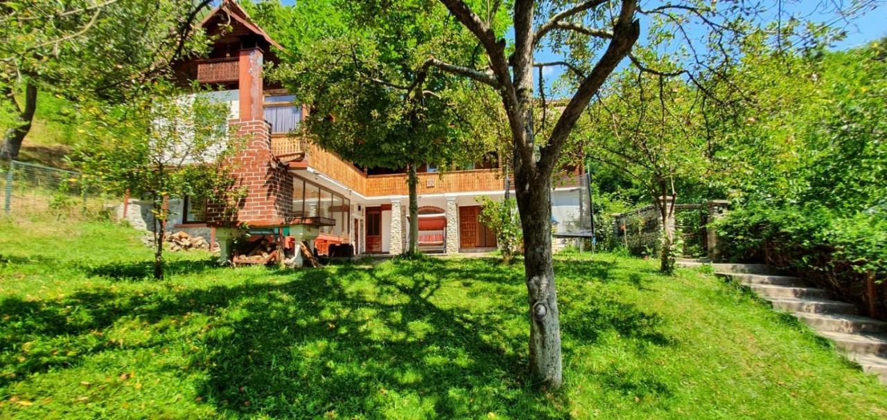 Casa Colt De Rai Villa Brezoi Luaran gambar