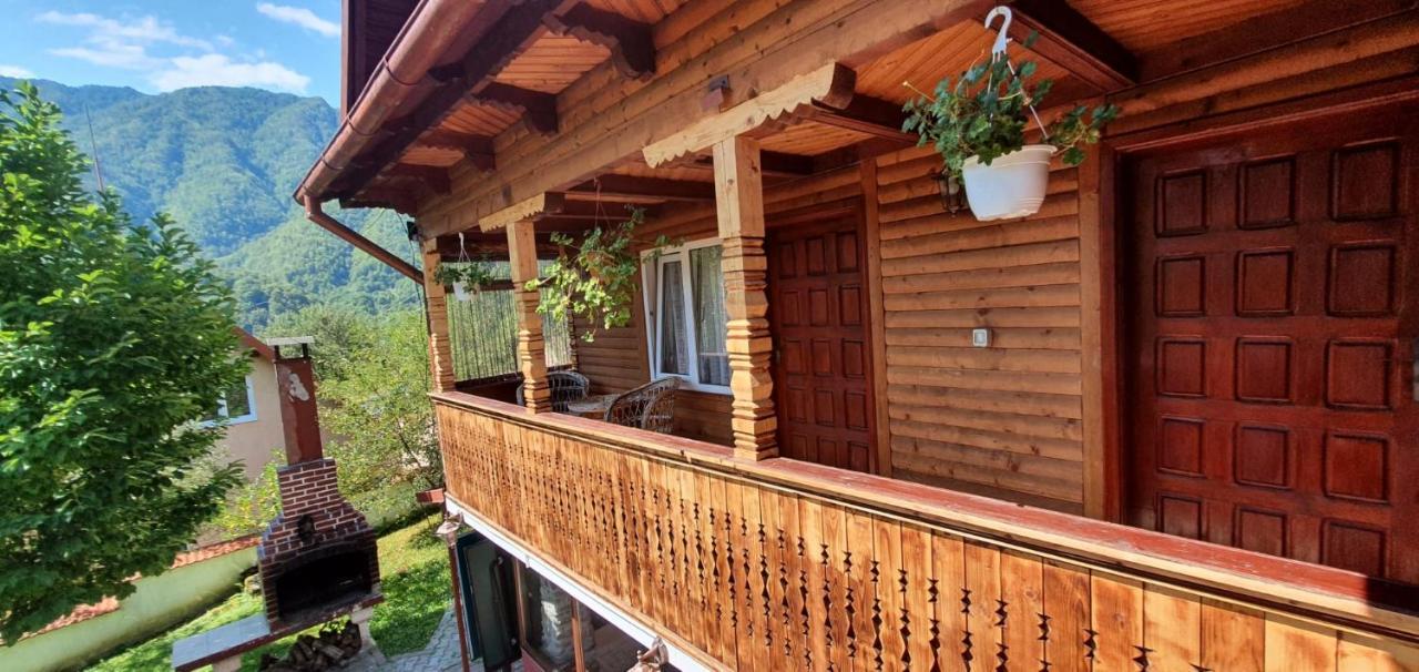 Casa Colt De Rai Villa Brezoi Luaran gambar