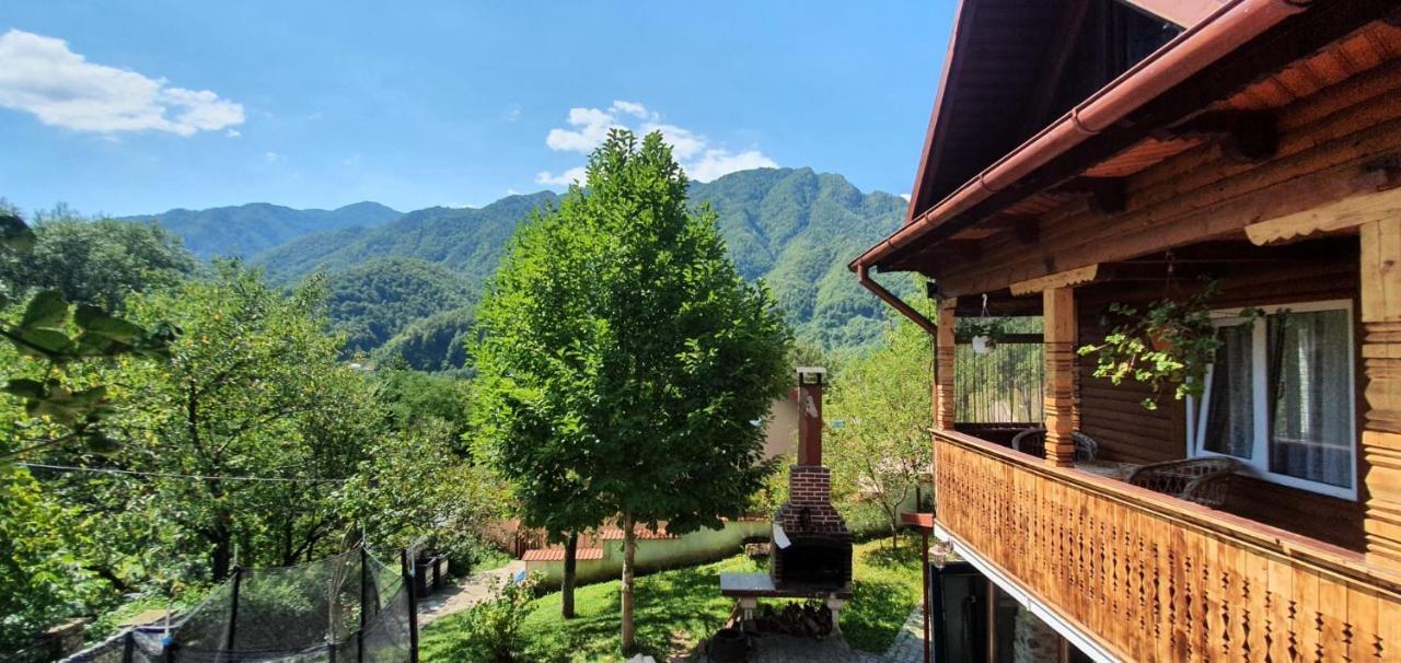 Casa Colt De Rai Villa Brezoi Luaran gambar