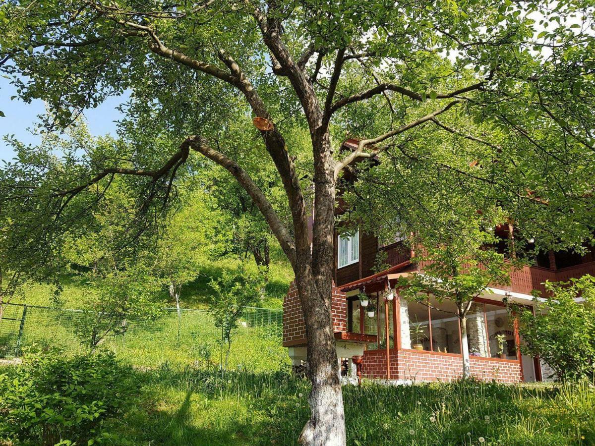 Casa Colt De Rai Villa Brezoi Luaran gambar
