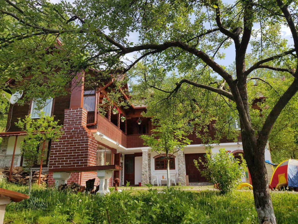Casa Colt De Rai Villa Brezoi Luaran gambar
