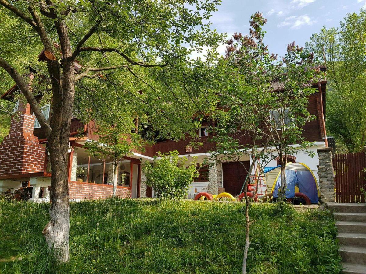 Casa Colt De Rai Villa Brezoi Luaran gambar