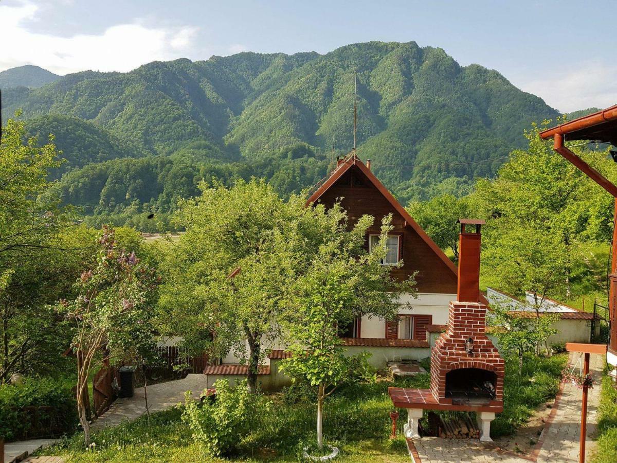 Casa Colt De Rai Villa Brezoi Luaran gambar