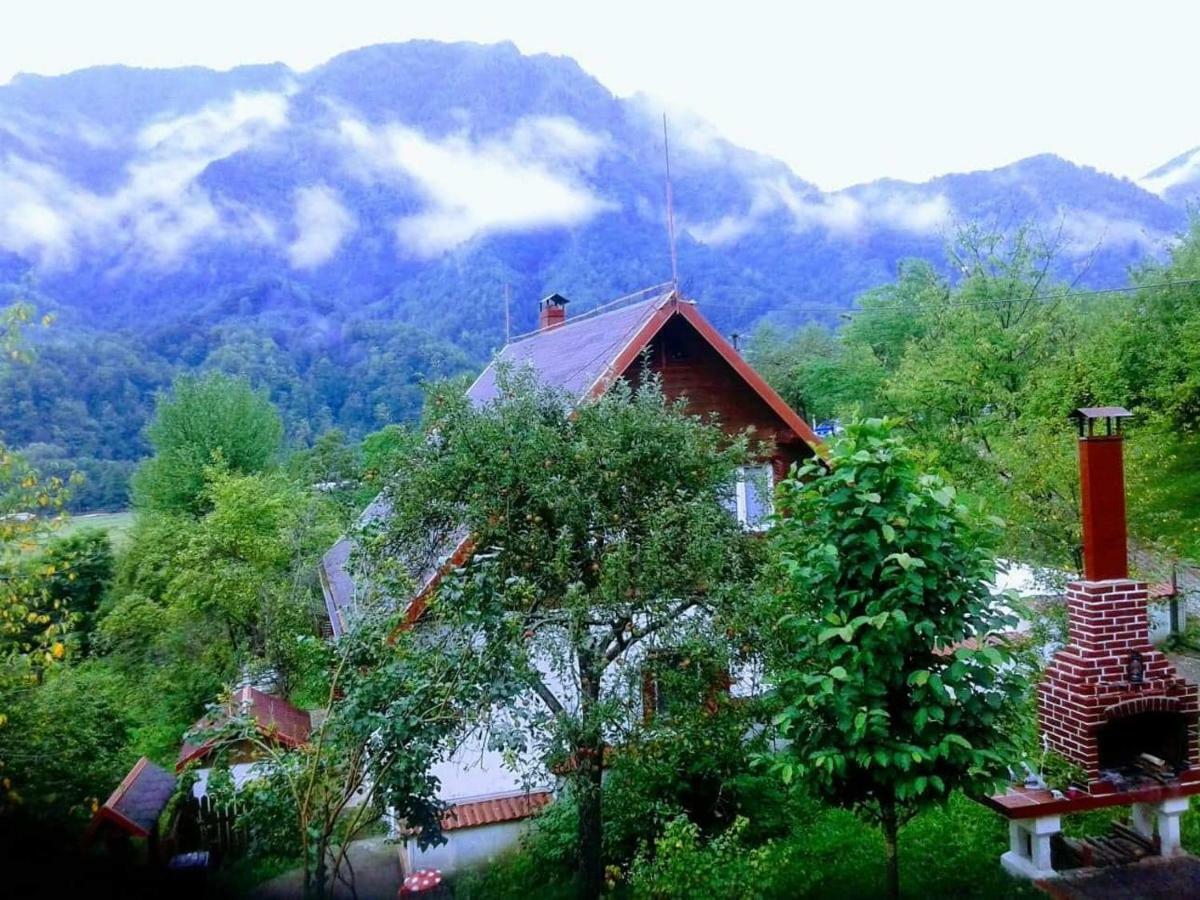 Casa Colt De Rai Villa Brezoi Luaran gambar