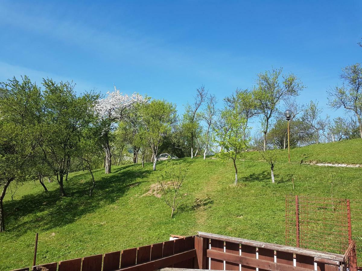 Casa Colt De Rai Villa Brezoi Luaran gambar